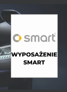 Wyposażenie Smart po VIN - specyfikacja