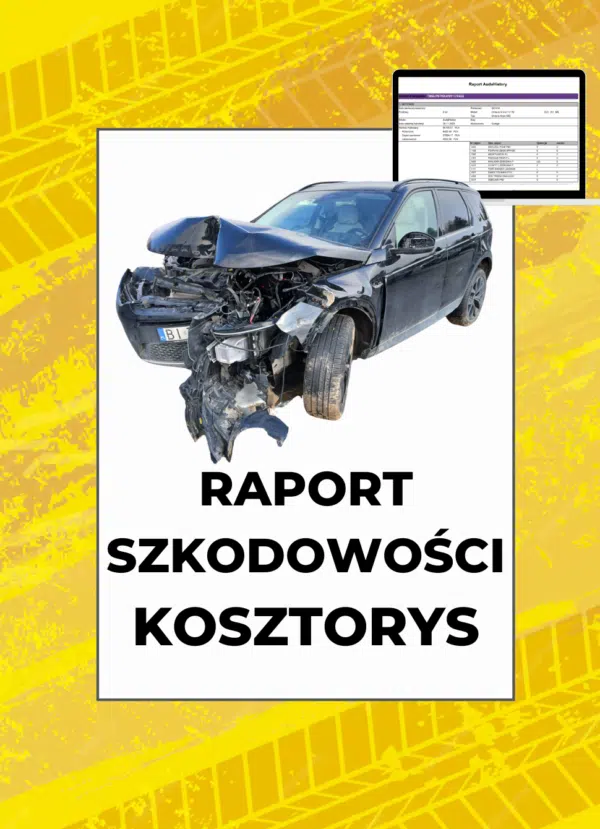 Raport szkodowości Audatex – historia szkód i kosztorys napraw po VIN